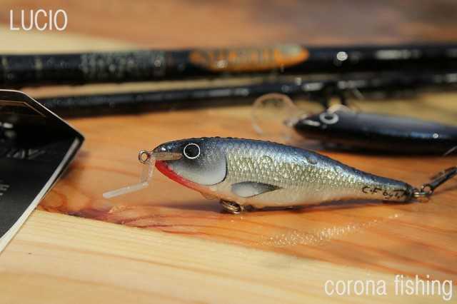 wobler sandaczowy Tomasz Miernik